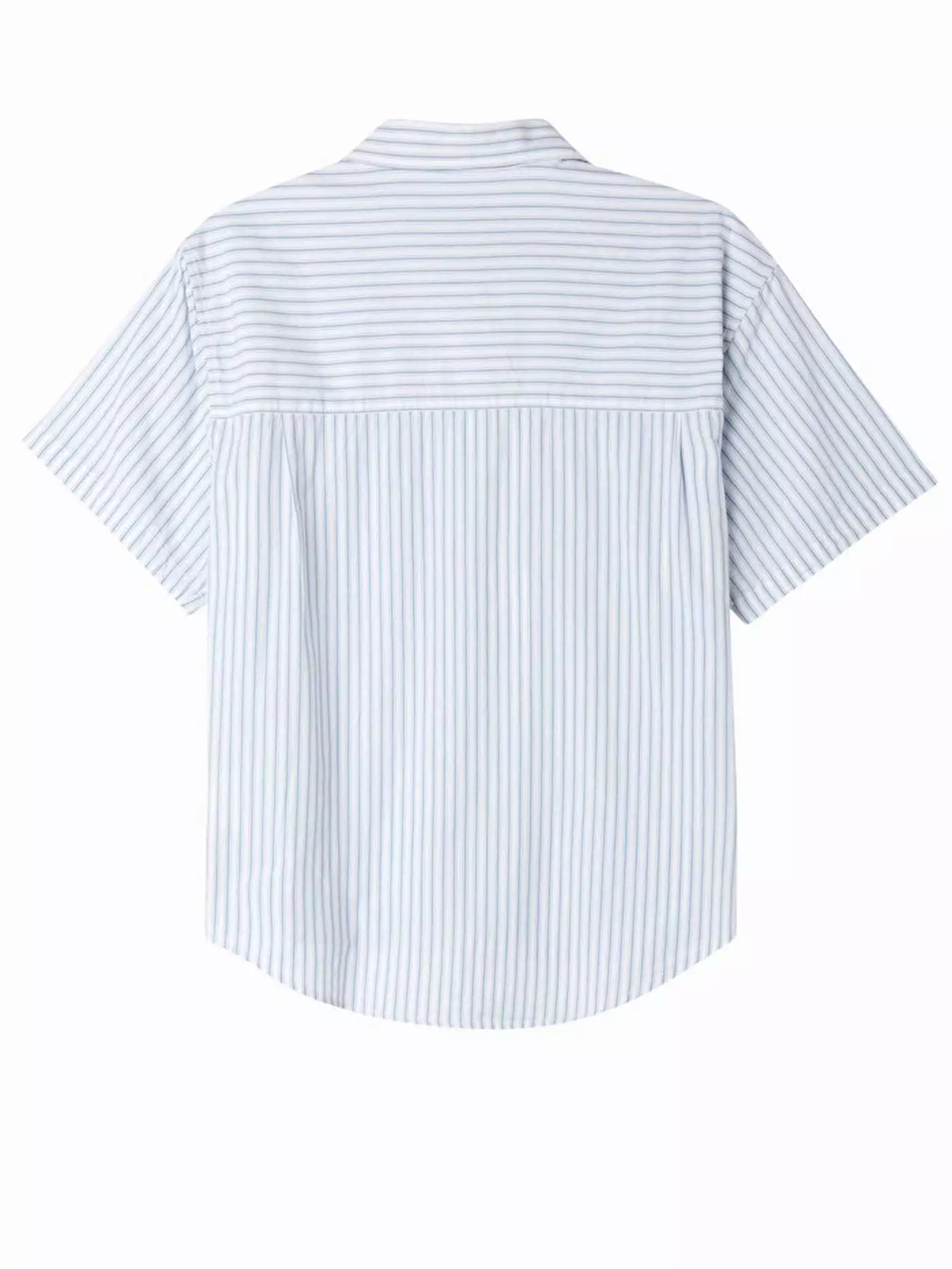 Bigwig Stripe Buttondown Shirt Short Sleeve